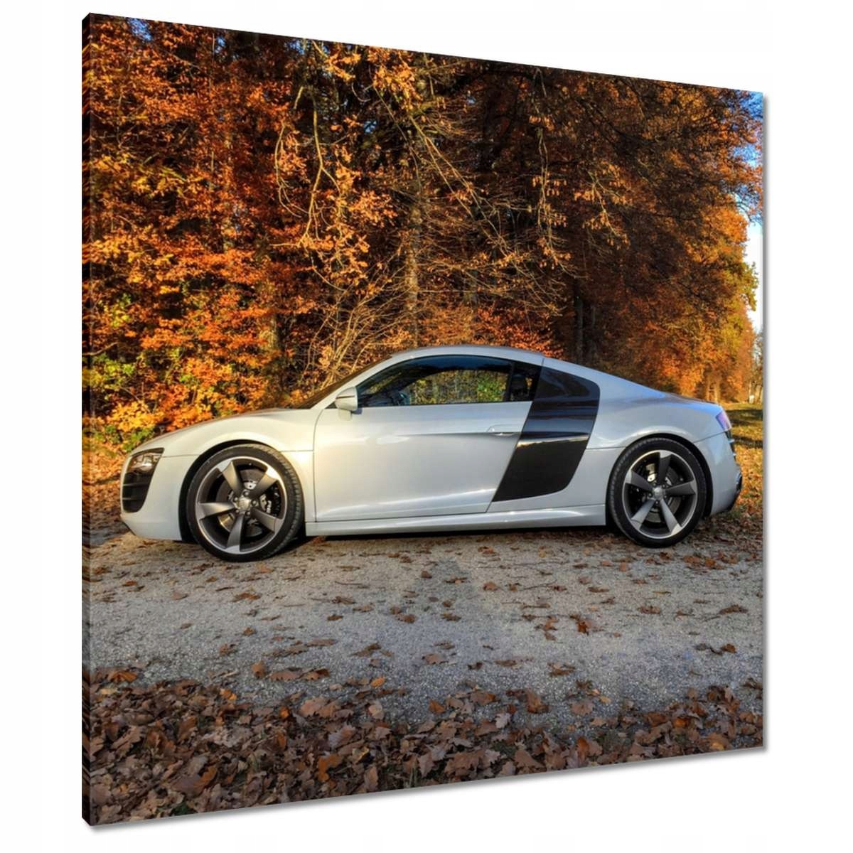 Obrazy 80x80 Podzimní Audi Auto