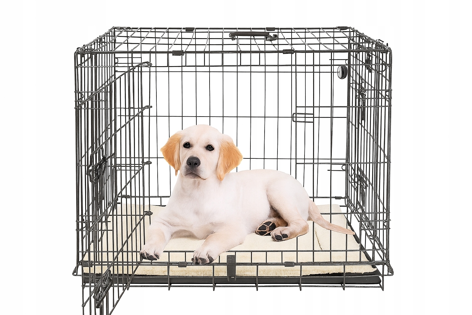 Levně Klec pro psa dvoudveřová, skládací, kovová MaxxPet 91/57/64