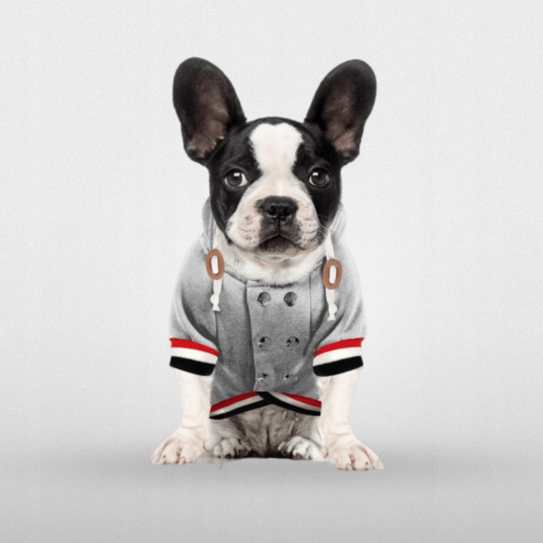 Mikina Pro Psa S Kapucí Milk&pepper Arminton Šedá T35L