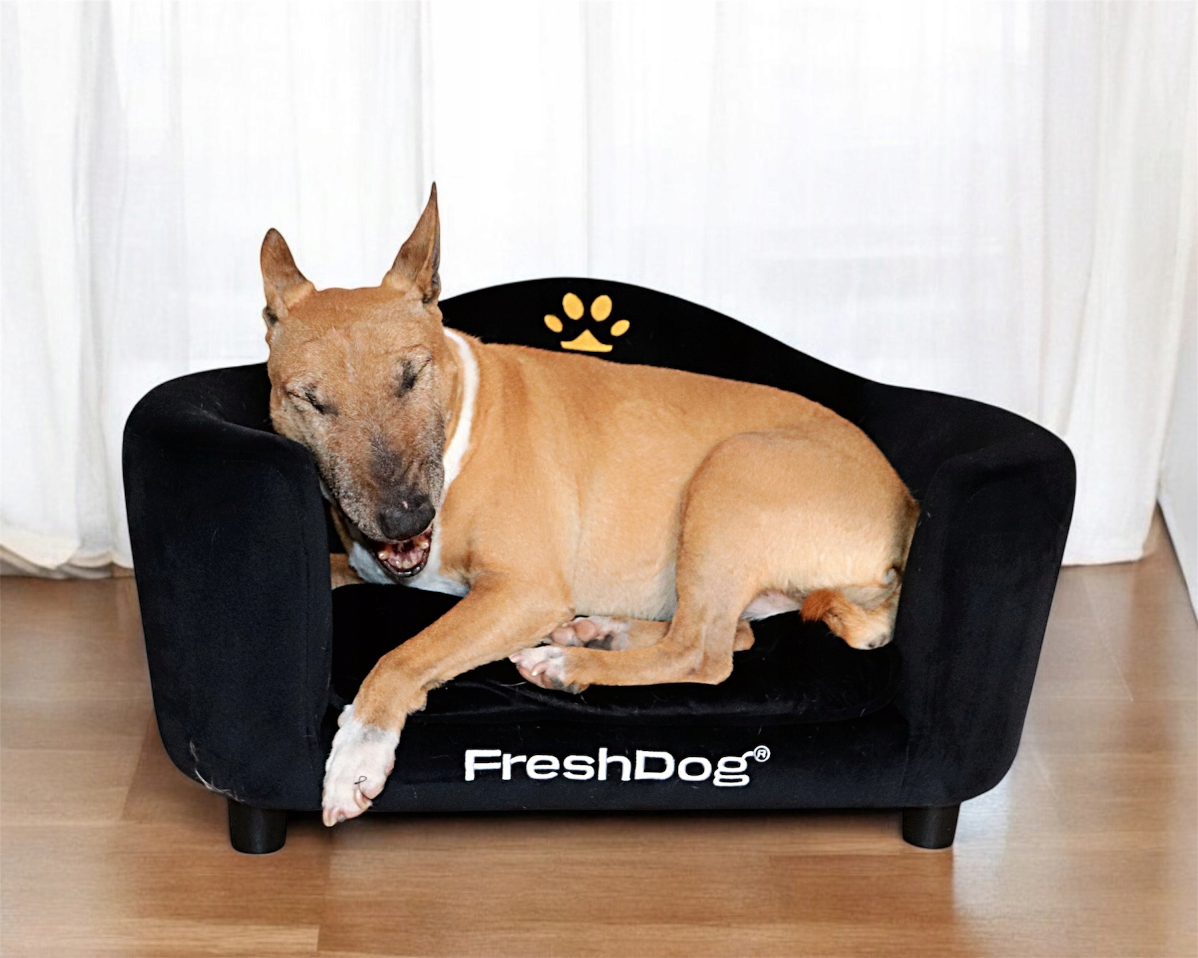 Levně Královský pelíšek Black Velvet