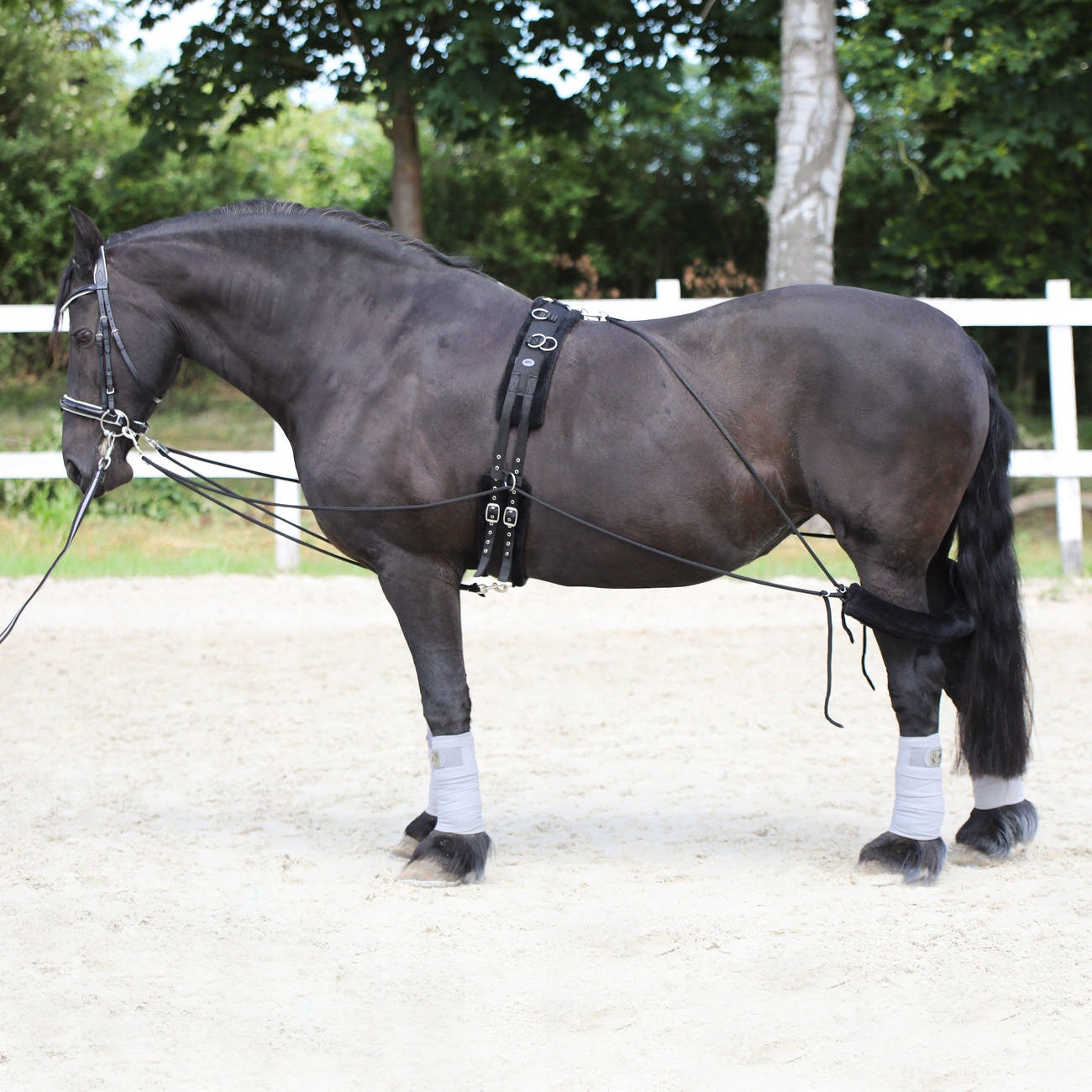Tréninková pomůcka pro koně York typu Pessoa
