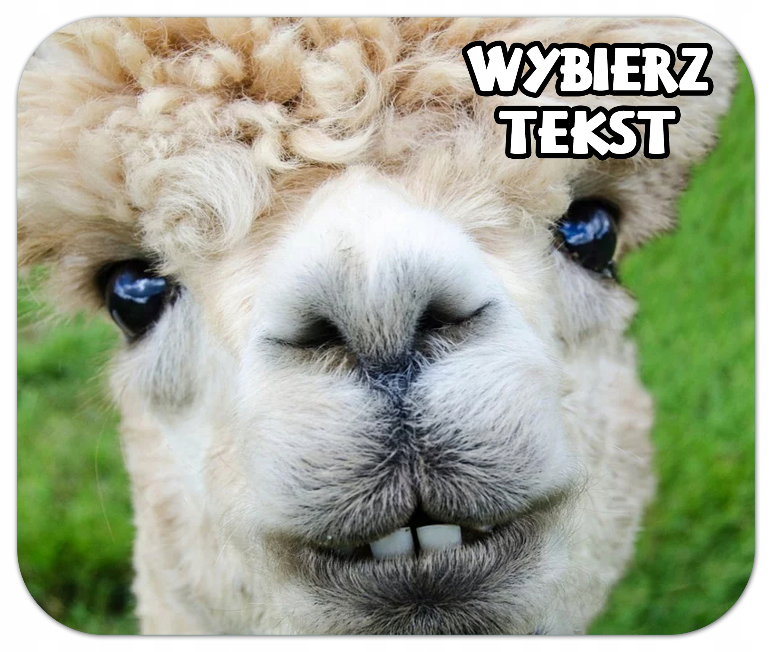 

Podkładka Pod Mysz Foto Zdjęcie Alpaka Napis