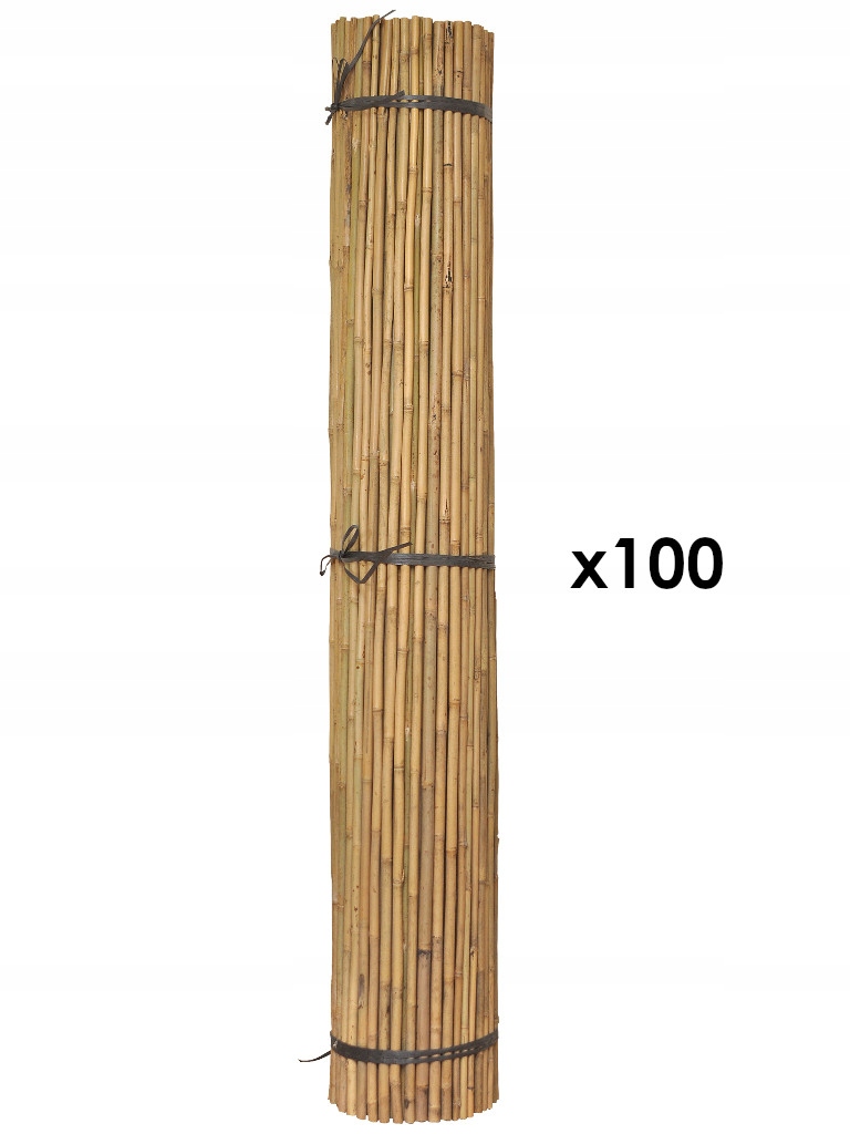 

Tyczki bambusowe 60 cm x 6/8 mm 100 szt.