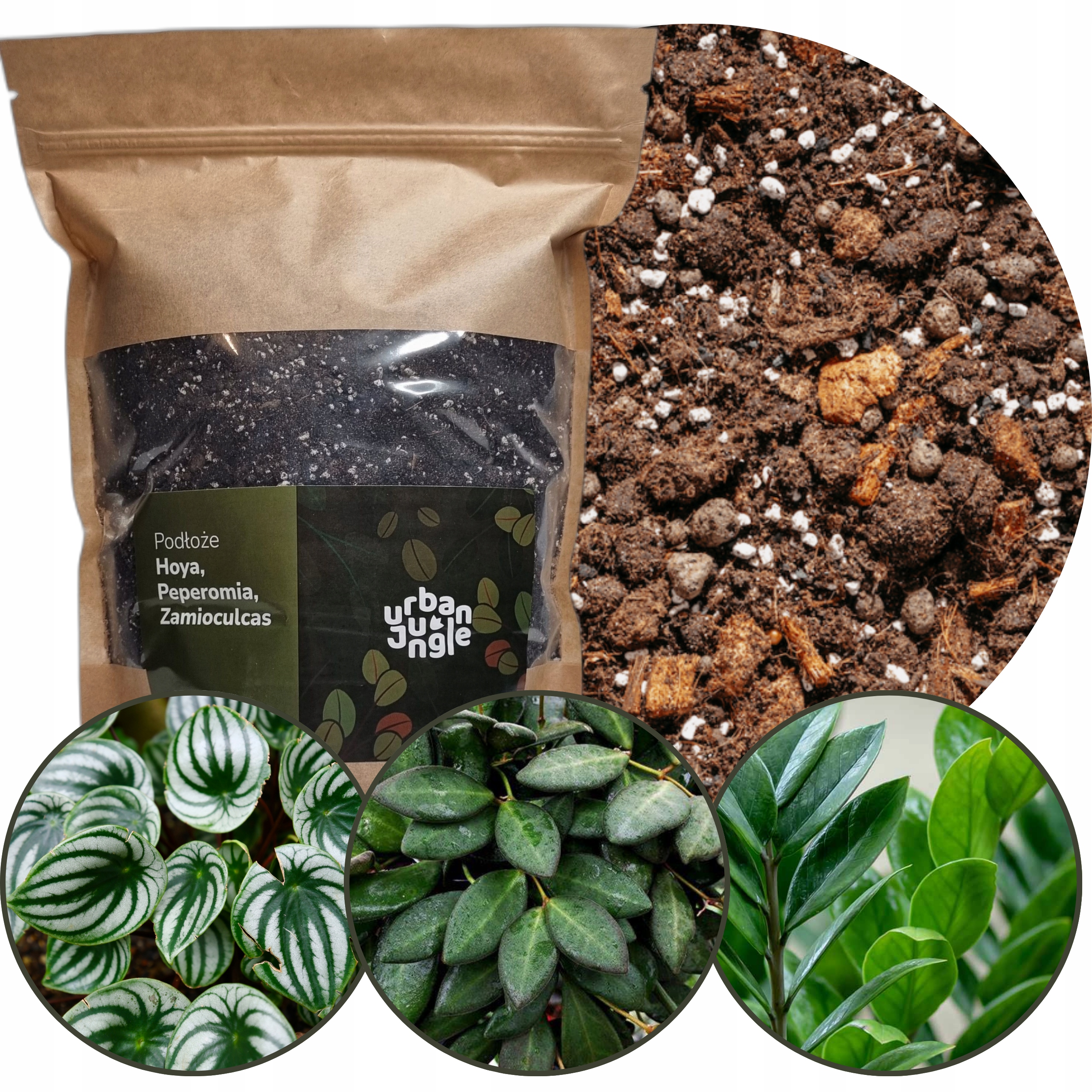 Ziemia do HOYI, PEPEROMII, ZAMIOCULCAS 3L bigos, podłoże HOI, ZAMIOKULKASA