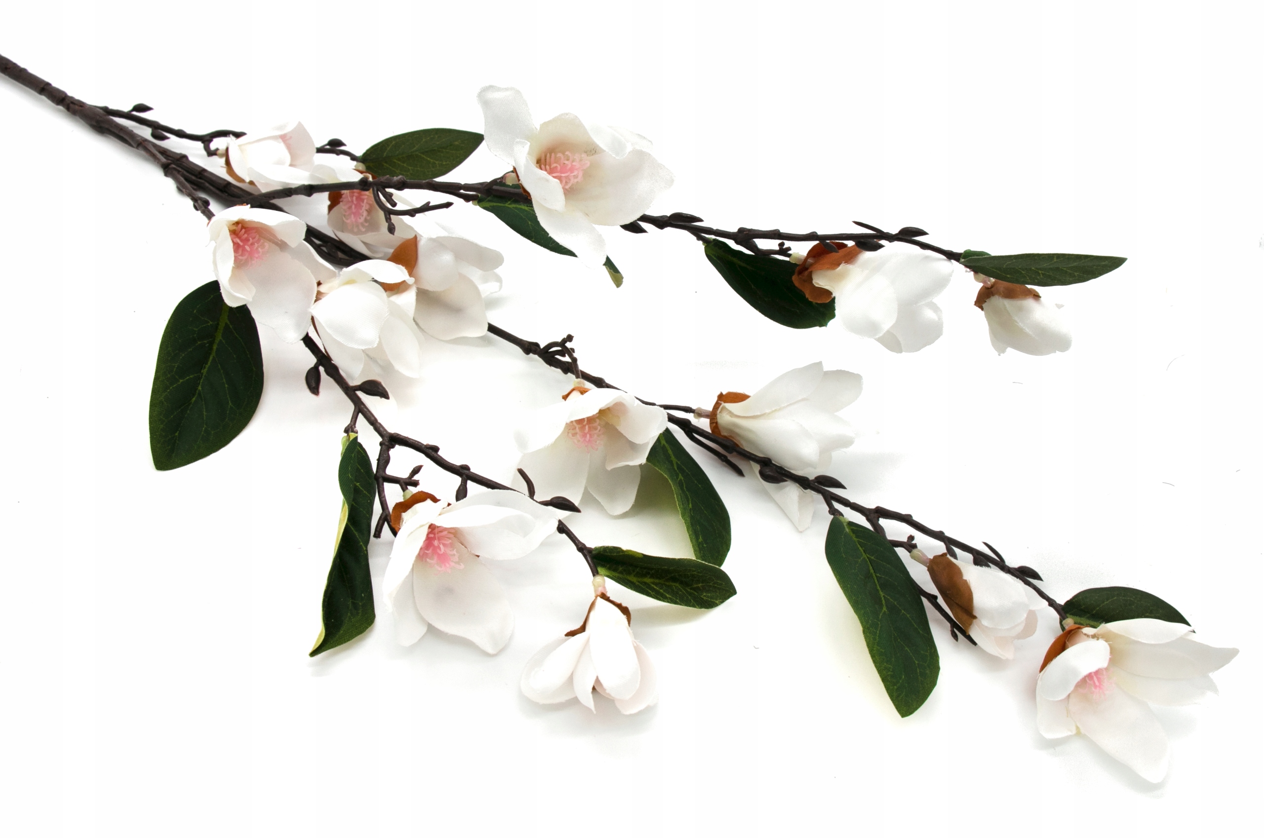 

Magnolia Duża Gałązka Kwiaty Białe 90cm