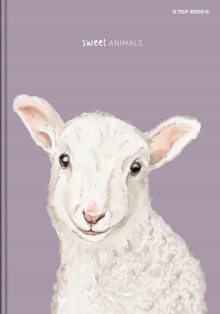 BRULION TOP 2000 SWEET ANIMAL A6 80 kartek KRATKA Marka TOP-2000