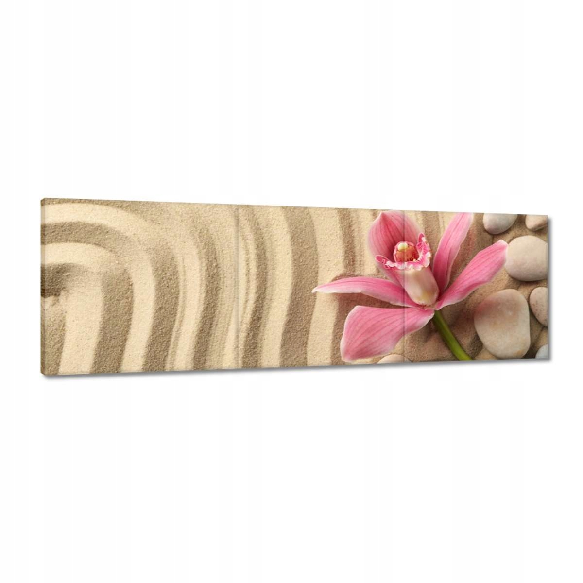 Obrazy 120x40 Spa Wellness Písek a kameny