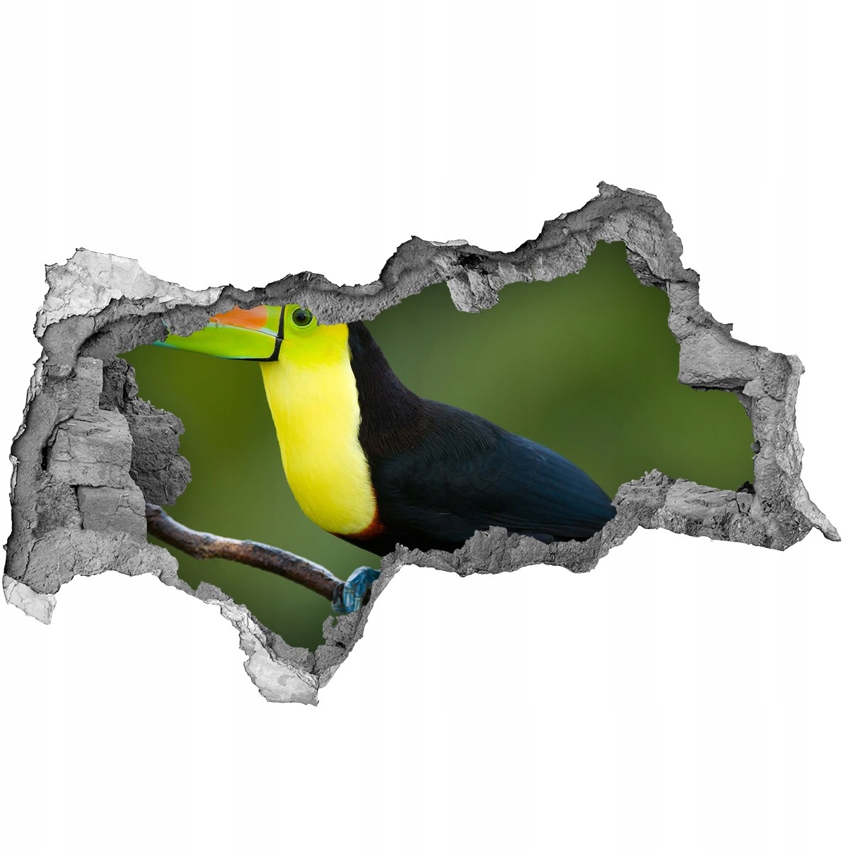 

Dziura 3d fototapeta na ścianę Naklejka Tukan