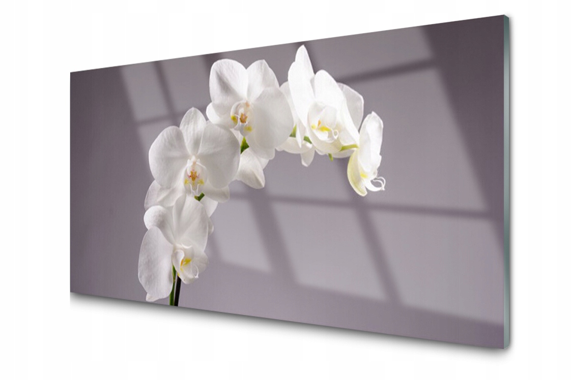 

Panel szklany Płytka Kwiaty Roślina 120x60 + Klej
