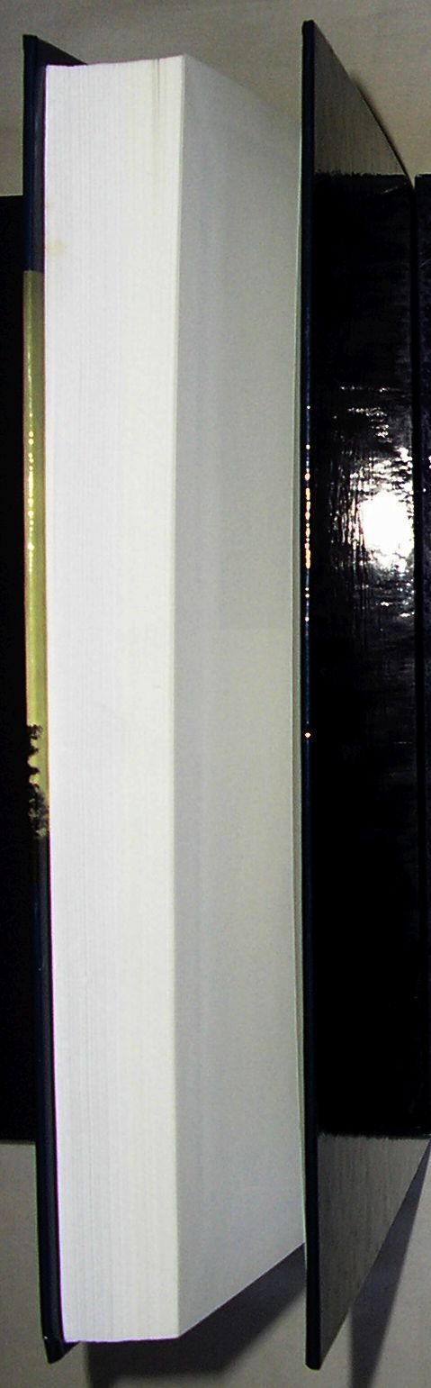 KOŚCIOŁY I KLASZTORY DAWNEGO WOJ. RUSKIEGO TOM 6 ISBN 8385739602