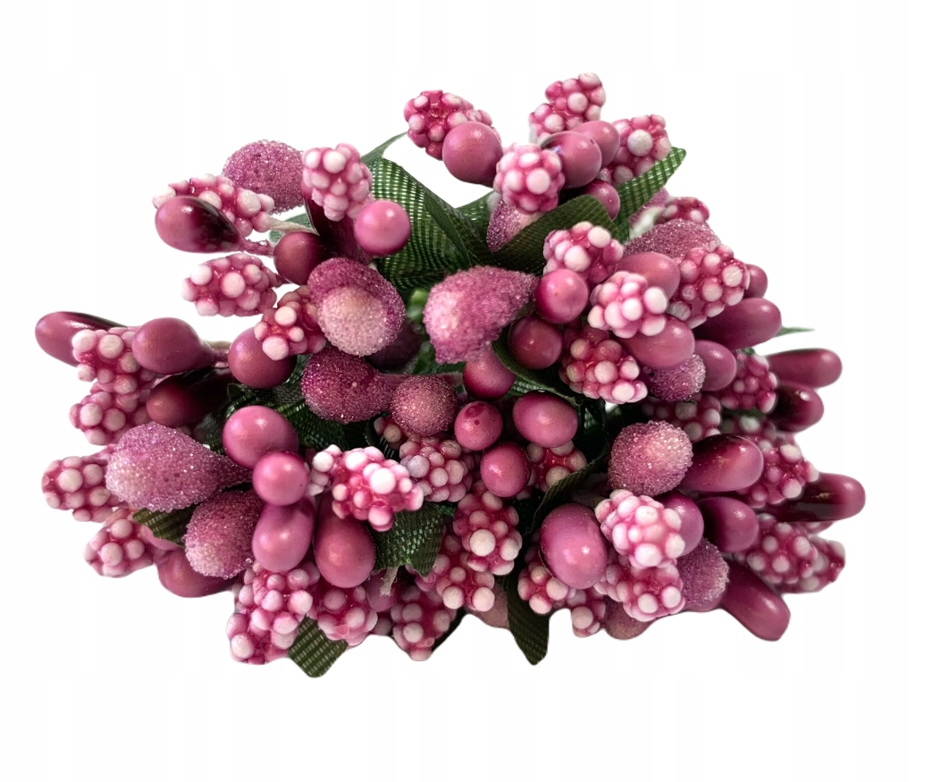 

Ryżyk Bordowy Ocukrzony Pręciki Gałązka