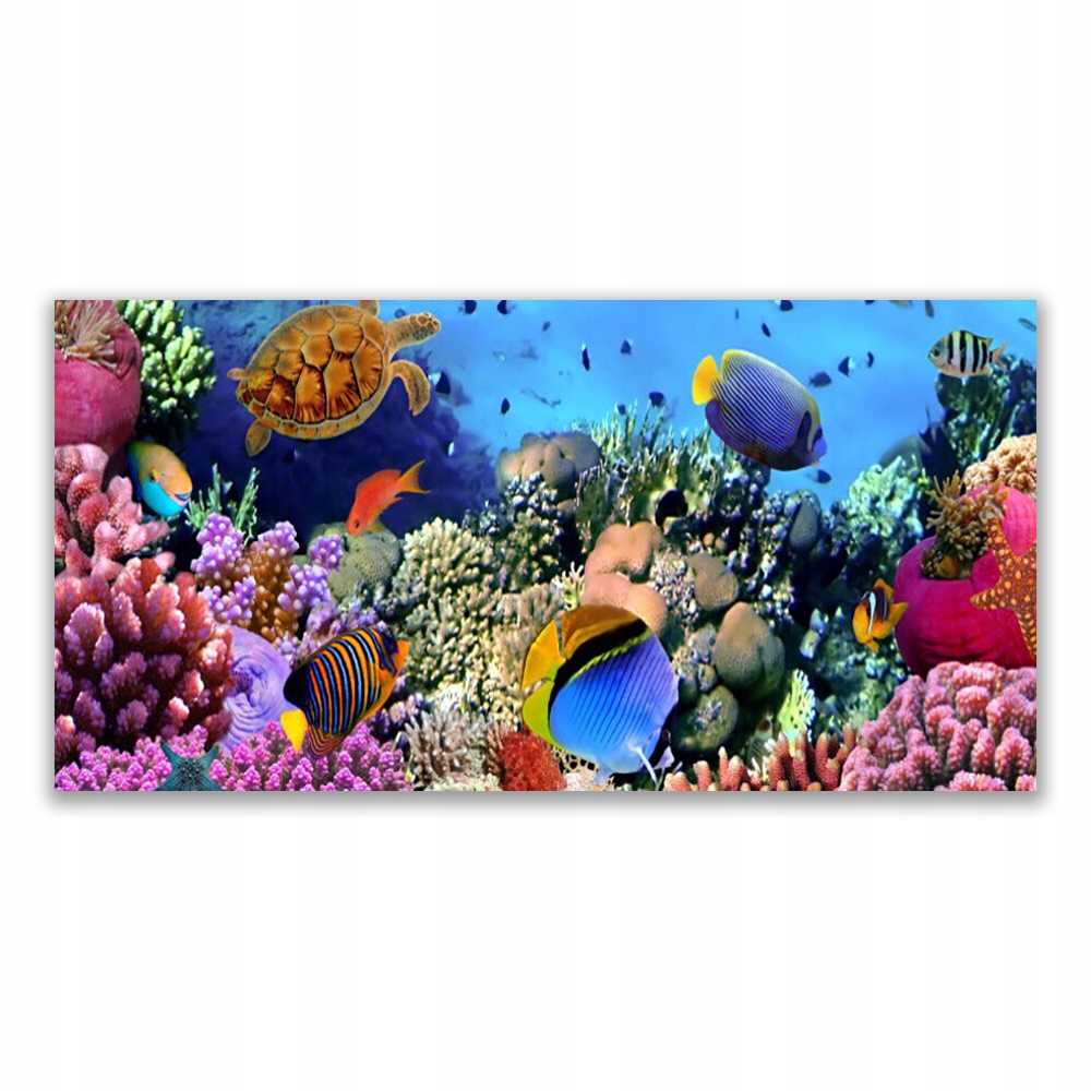 

Fotoobraz z nadrukiem 120x60 Rafa Koralowa Natura