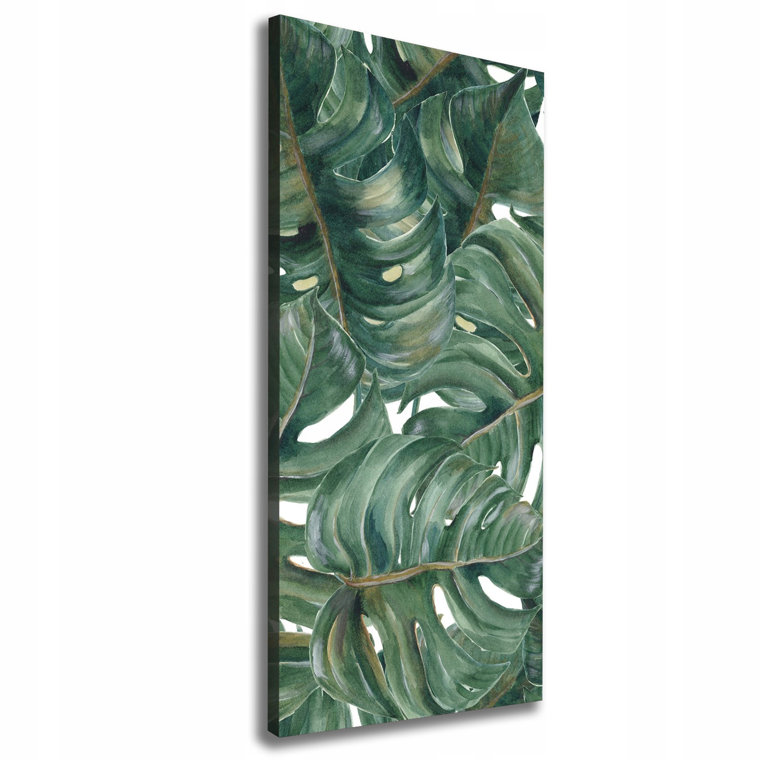 Foto obraz na plátně do obývacího pokoje Monstera 50x125 cm