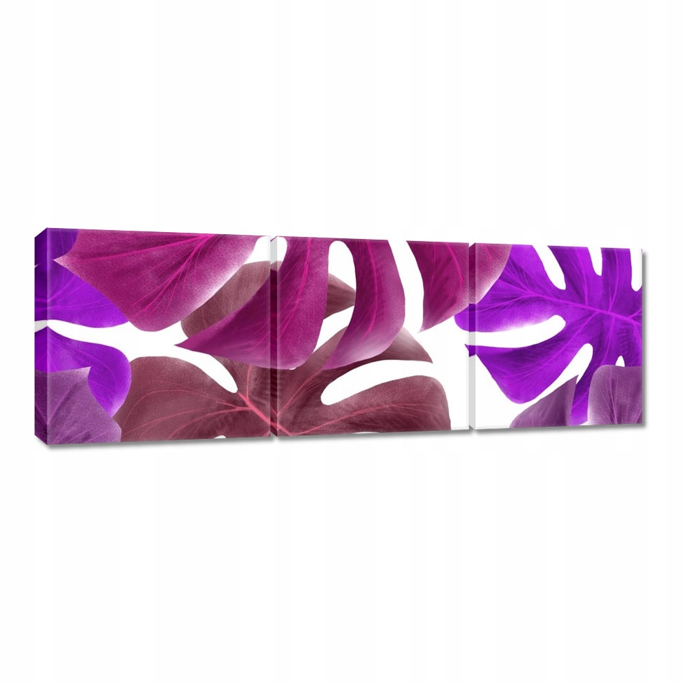 

Obrazy 60x20 Monstera Liście Fiolet