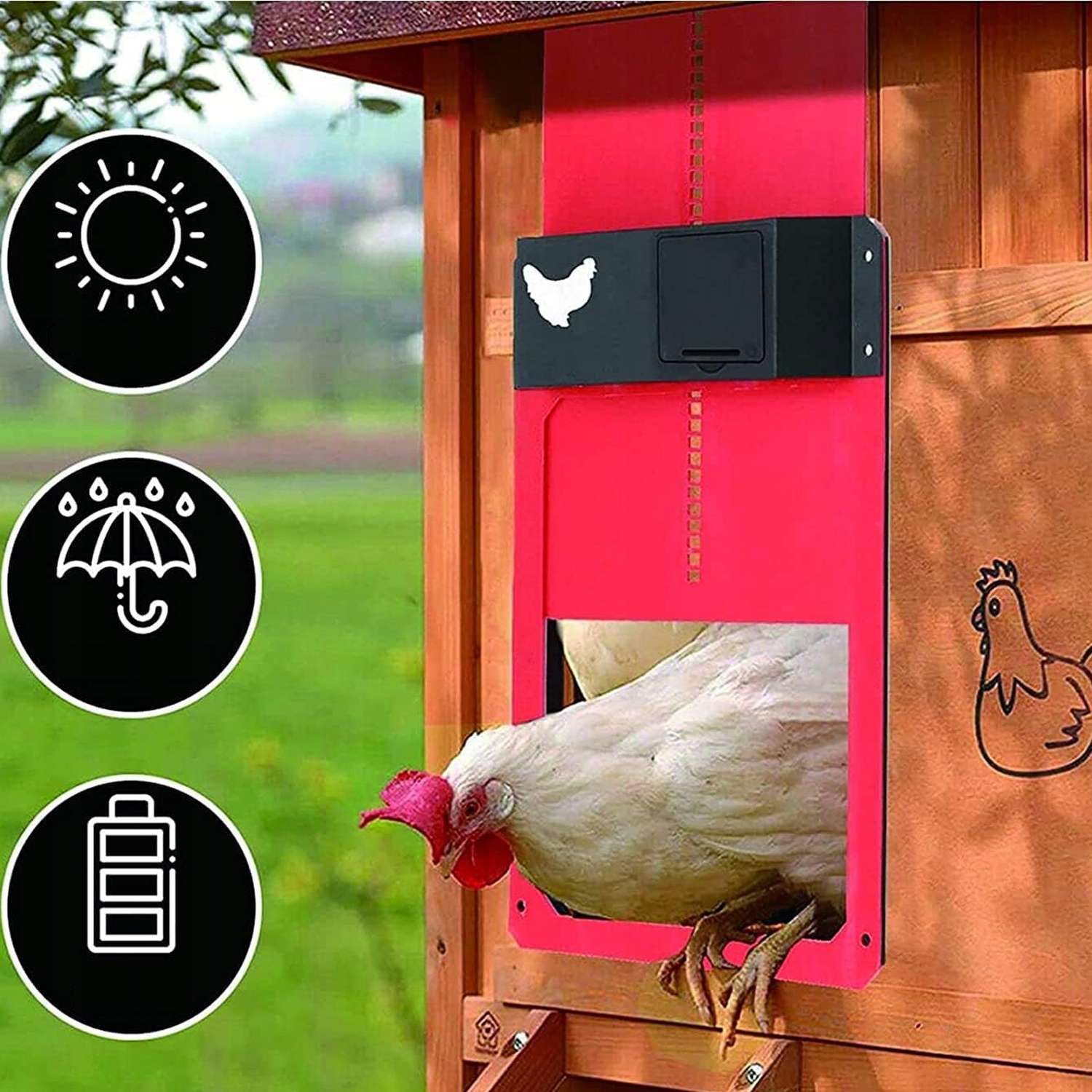 AUTOMATYCZNE DRZWI DO KURNIKA ZAMKNIĘCIE CZUJNIK ŚWIATŁA 35x24cm Rodzaj inny