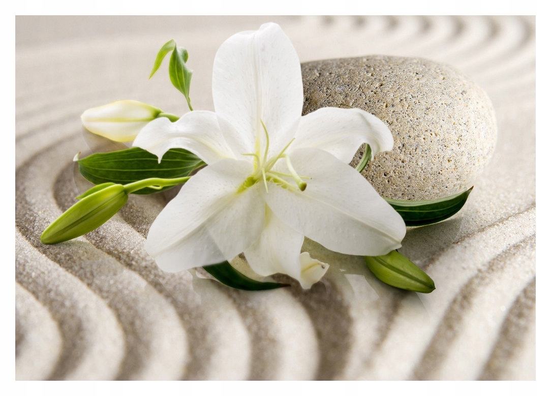 Fototapeta Lilie kameny písek příroda vinylová 208x146 lepidlo