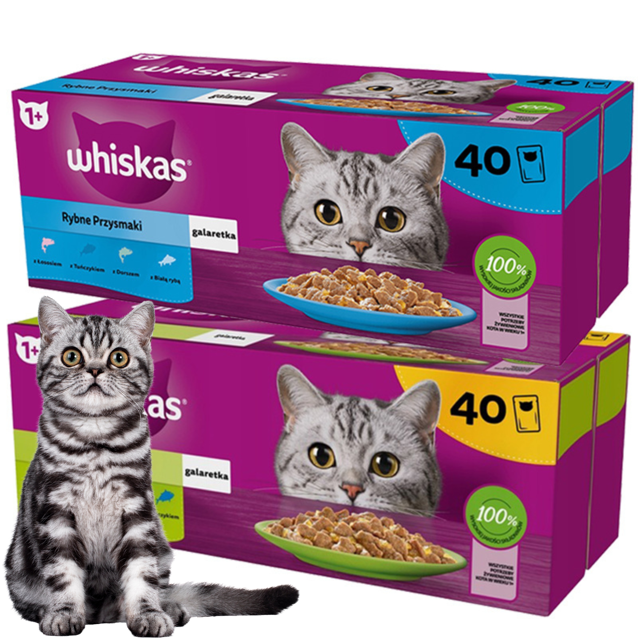 Whiskas Karma dla kotów MIX 6 smaków ryba drób 85 g x 80 sztuk