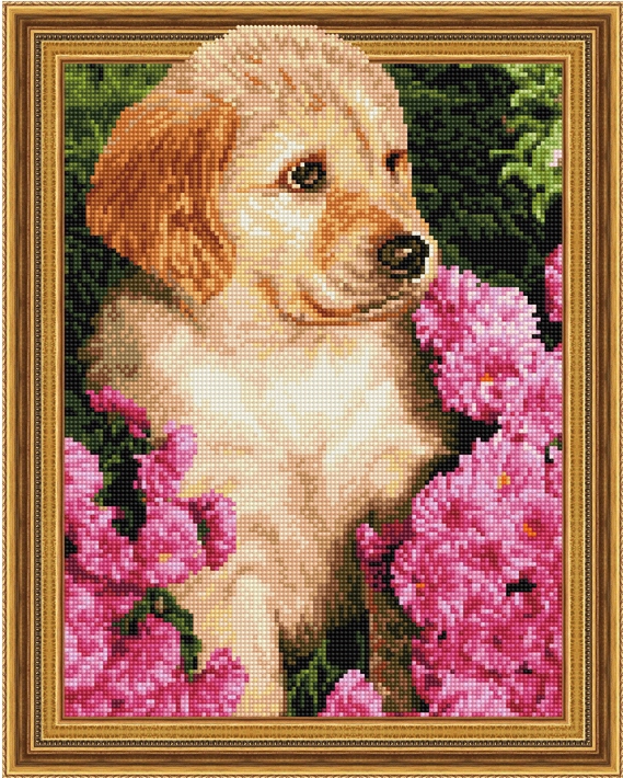 Diamantová mozaika 5D Na dřevo 40x50 Ipicasso