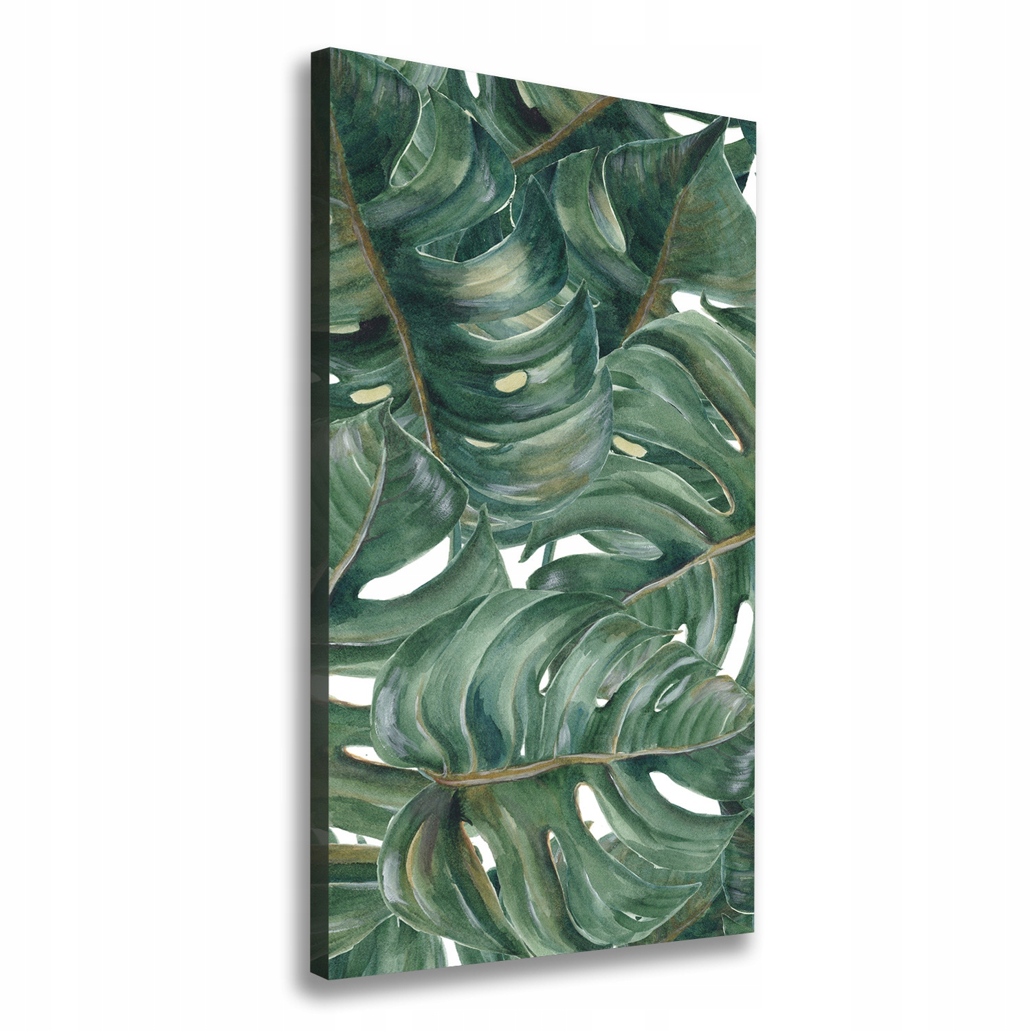 Foto obraz na plátně do obývacího pokoje Monstera 50x100 cm