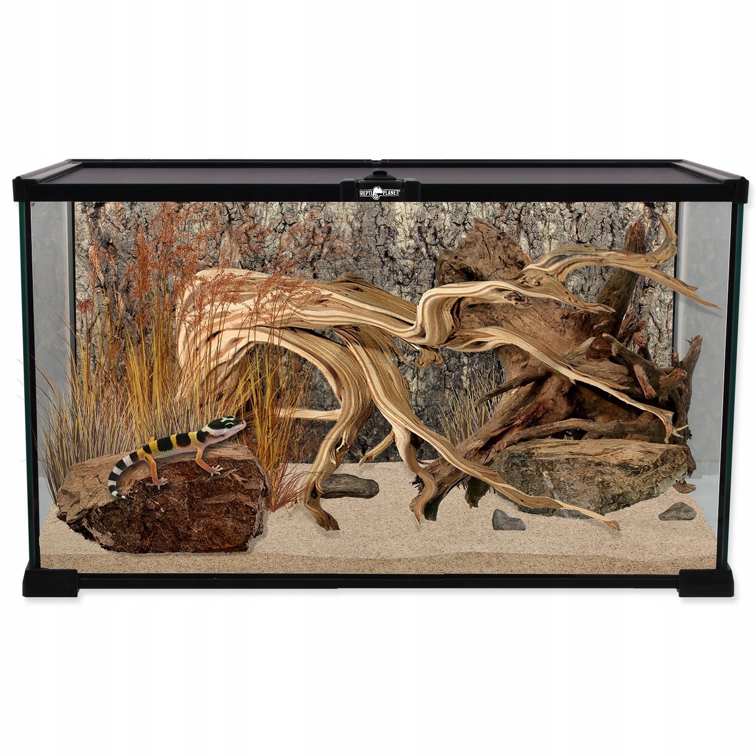 Repti Planet terrarium szklane 50,5x30,5x25cm