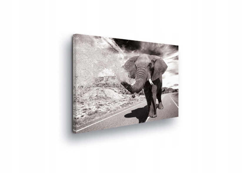 Obraz 100x75 Slon cesta příroda síla Afrika divoká příroda cestování drama