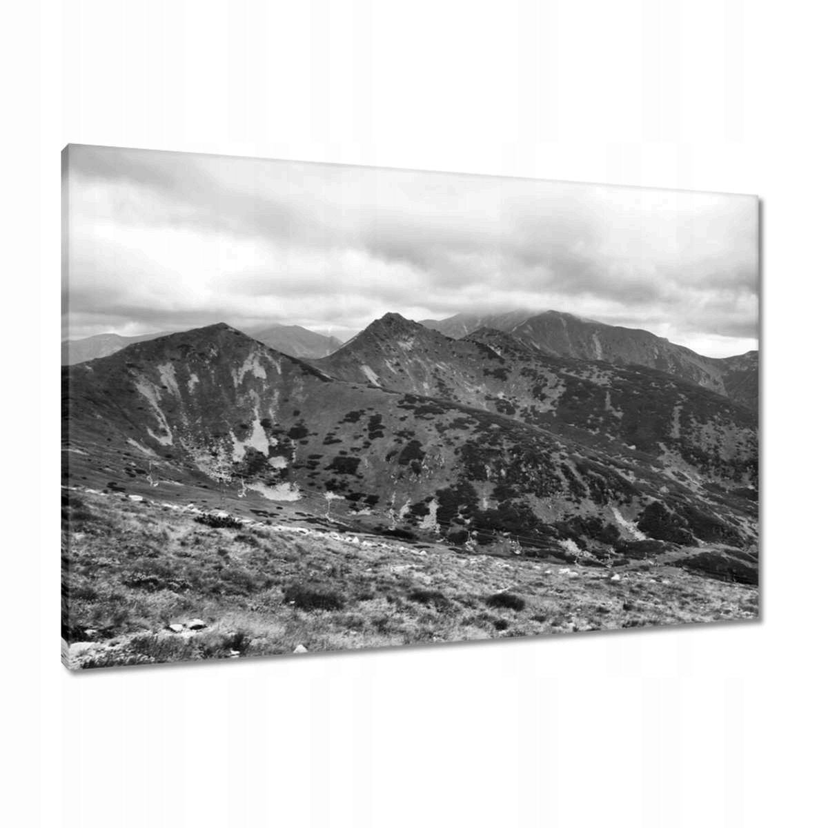 Obrazy 90x60 Tatry Polské hory Pohled