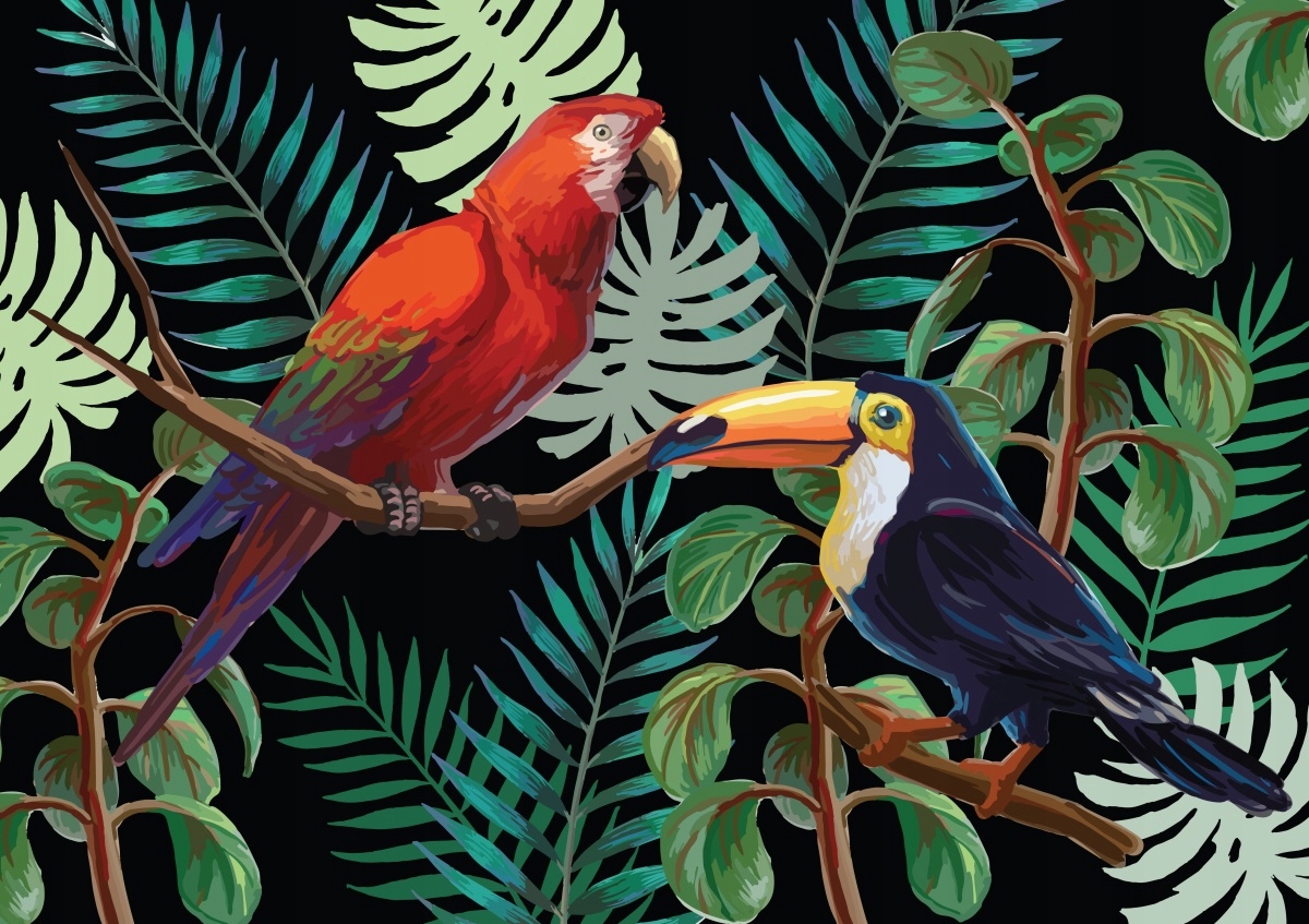 

Fototapeta Flizelinowa Ara Tukan - 208x146