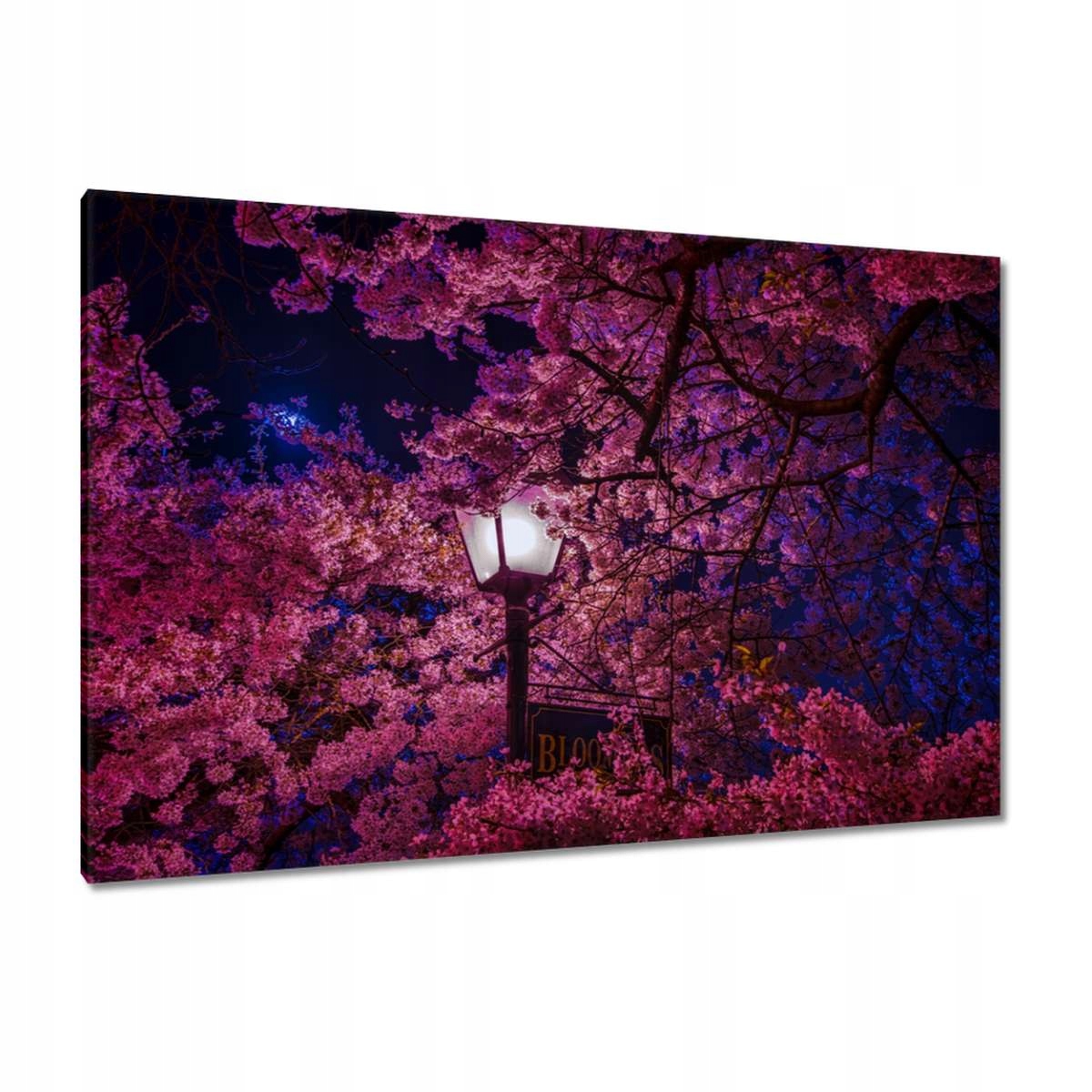 Obrazy 120x80 Hluboká noc Lampa Květiny