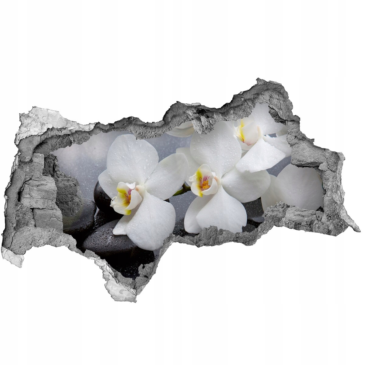 

Samoprzylepna Naklejka fototapeta Orchidea 115x88