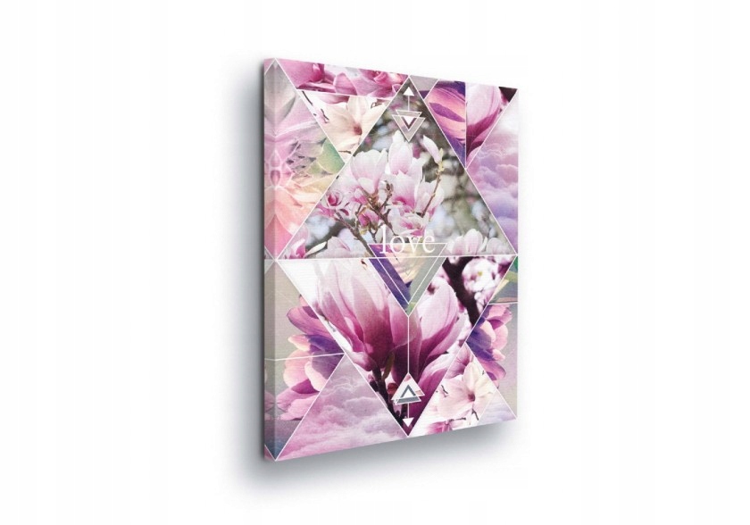 Obraz 60x80 Magnolie květiny geometrie abstrakce moderní růžová