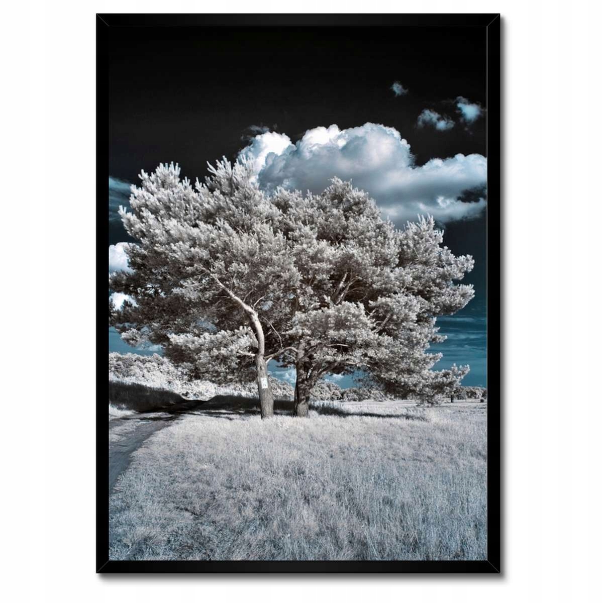 Plakáty v rámu 50x70 Stromek