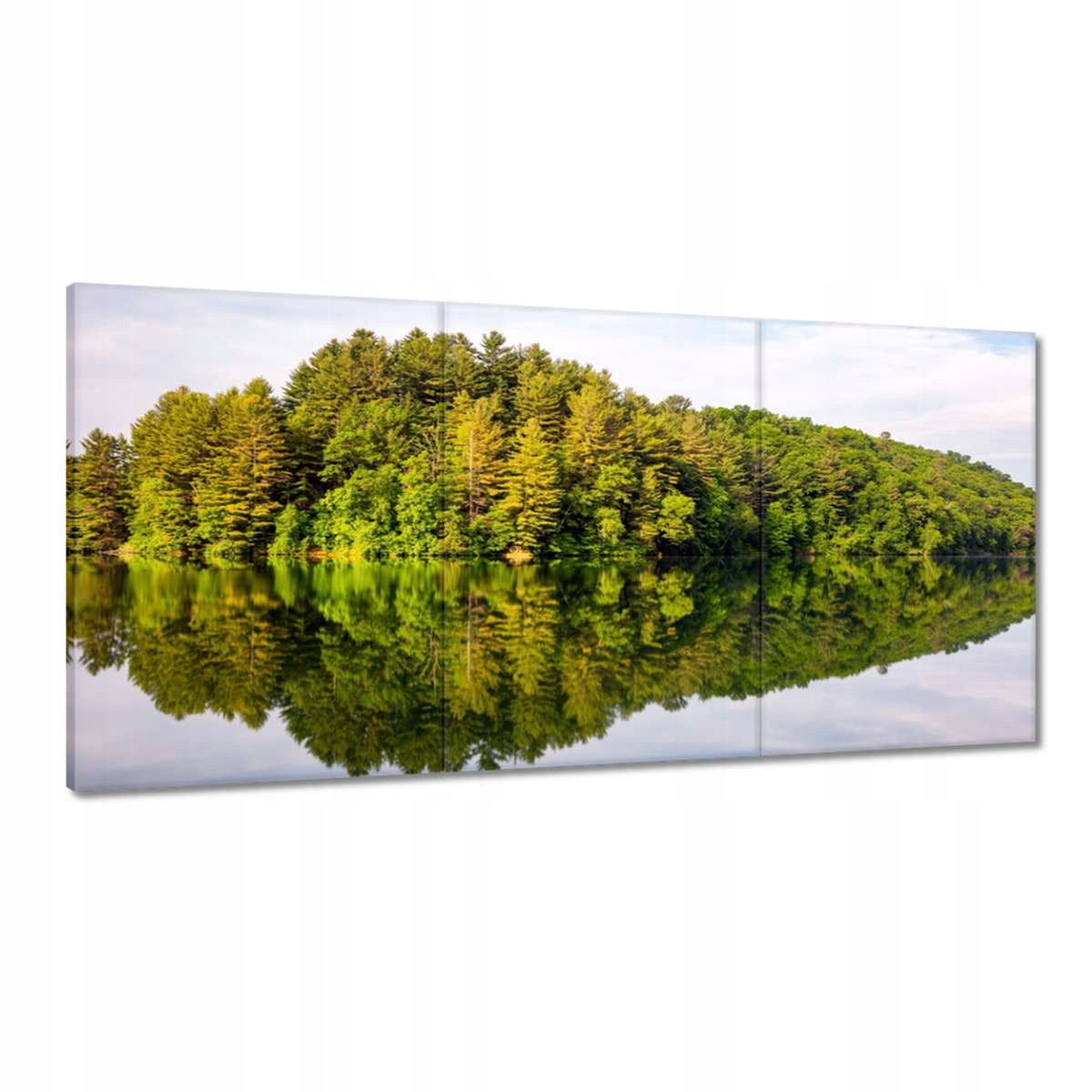 Obrazy 180x90 Les Jazero Oblaky
