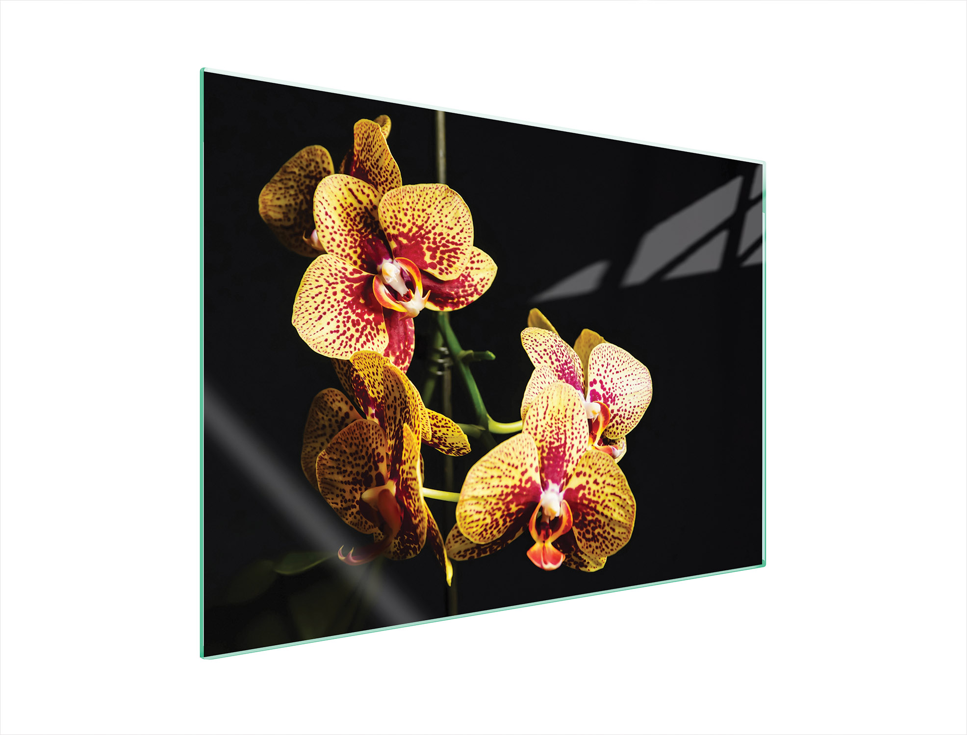 Skleněná Ochranná Deska Na Sporák 70x52 Orchidej Tvrzené Sklo