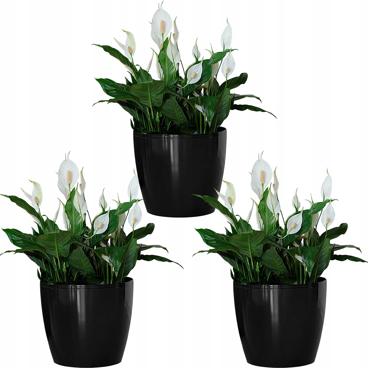 

Zestaw 3X Doniczka Osłonka Misa Dom Taras 21cm