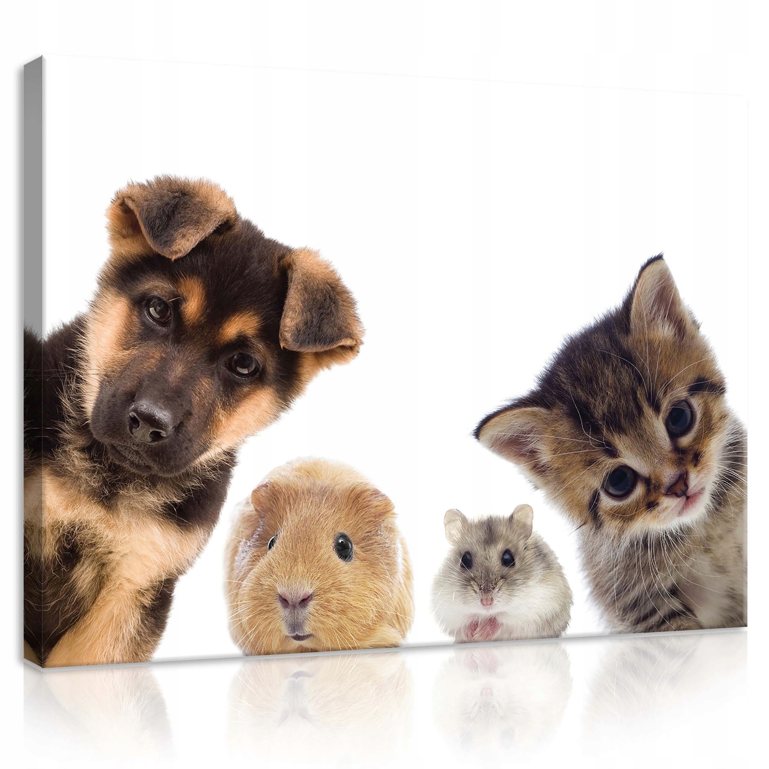 Obraz 100x75 Sladká zvířata štěně kotě morče křeček mláďata