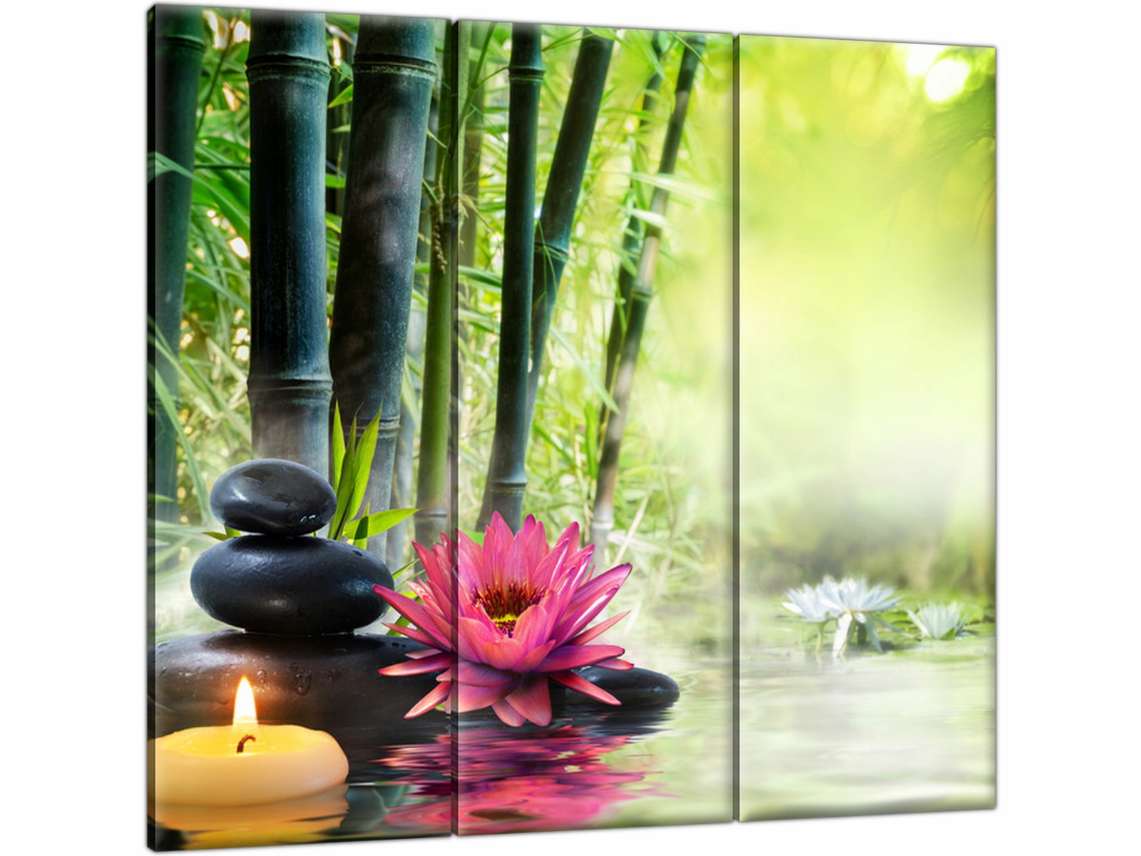 

Lilie Kwiaty Kamienie Spa 90x80 Obraz do łazienki