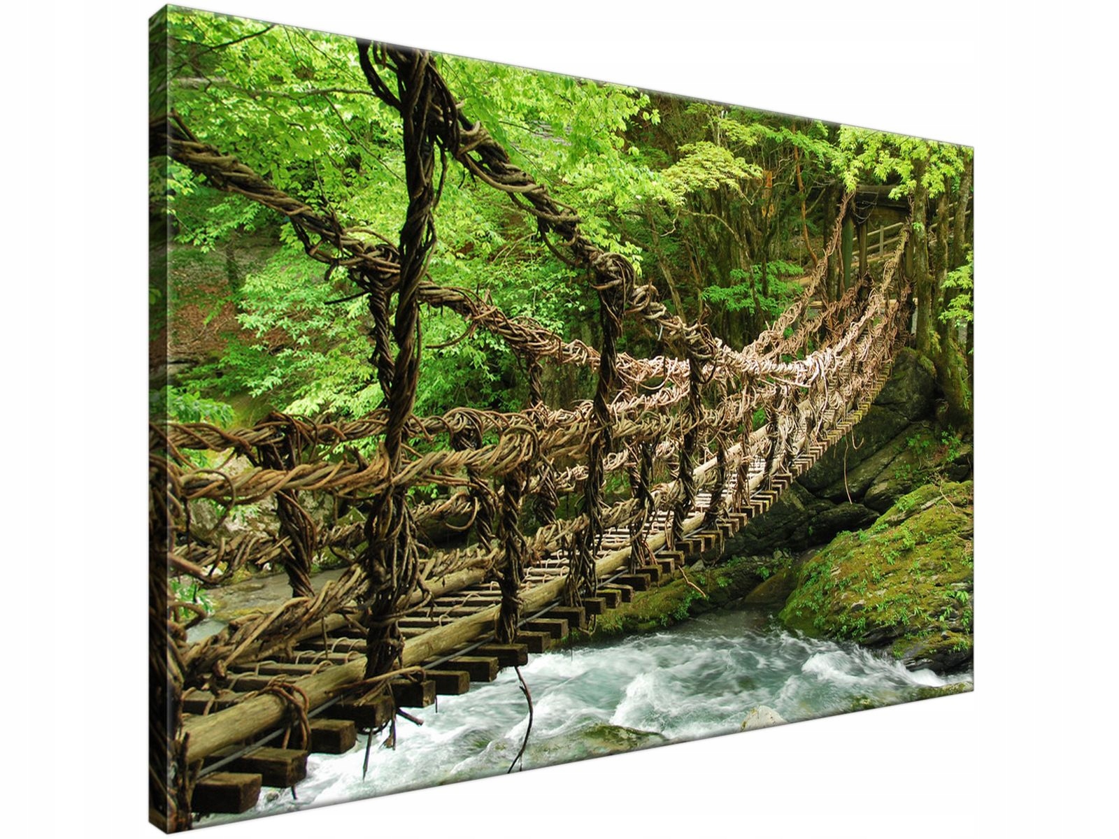 

Obraz drukowany Most linowo-bambusowy 90x60 produc
