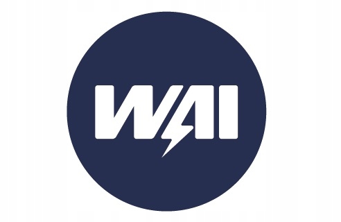 CEWKA ROZRUSZNIK BRIGGS STRATTON traktorek Numer katalogowy części 66-200