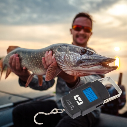 WAGA ELEKTRONICZNA RĘCZNA HAKOWA BAGAŻOWA 50KG LOTNICZA TURYSTYCZNA Kod producenta AG199B