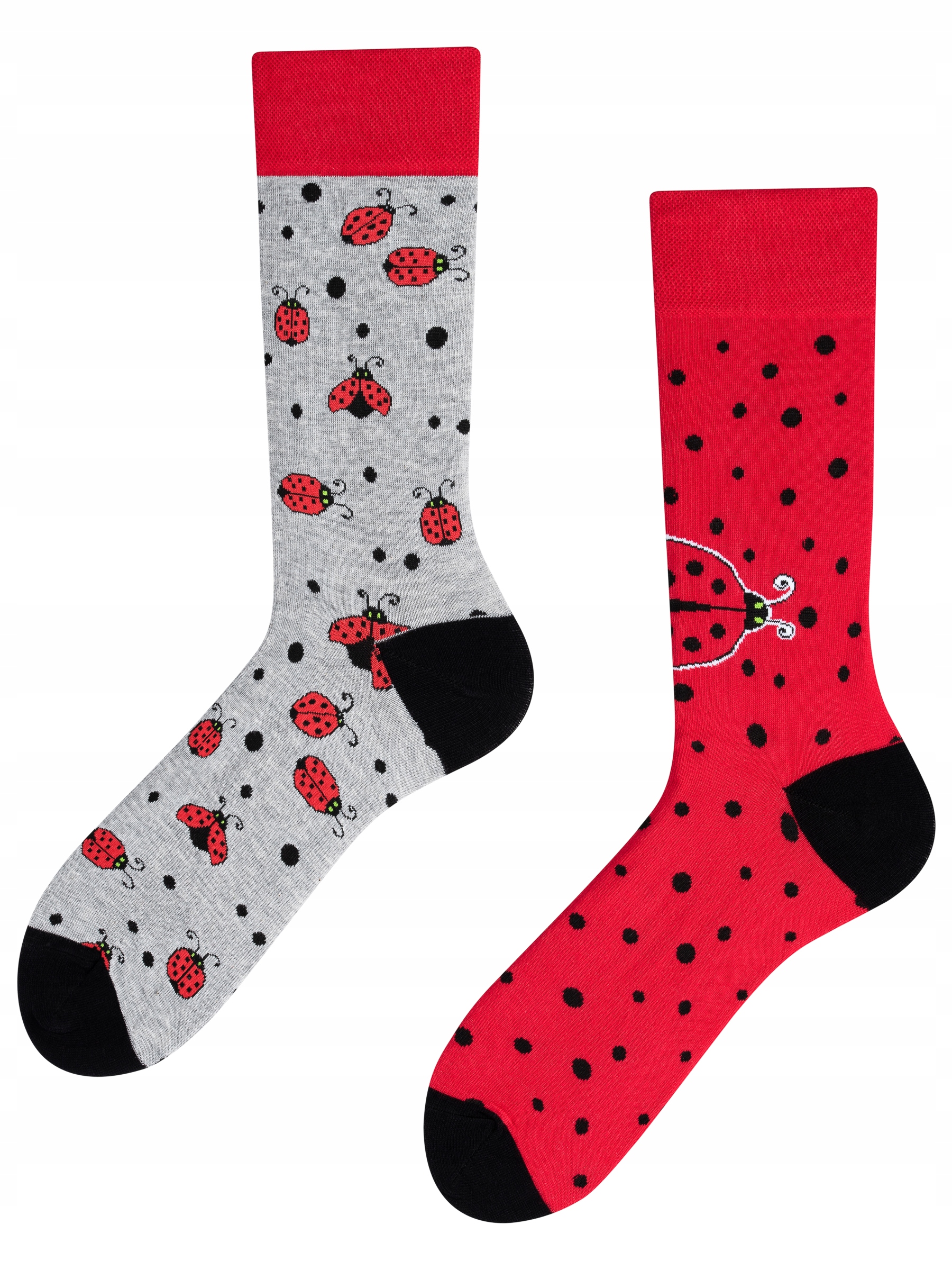 

Skarpetki kolorowe w biedronki Ladybug 35-38