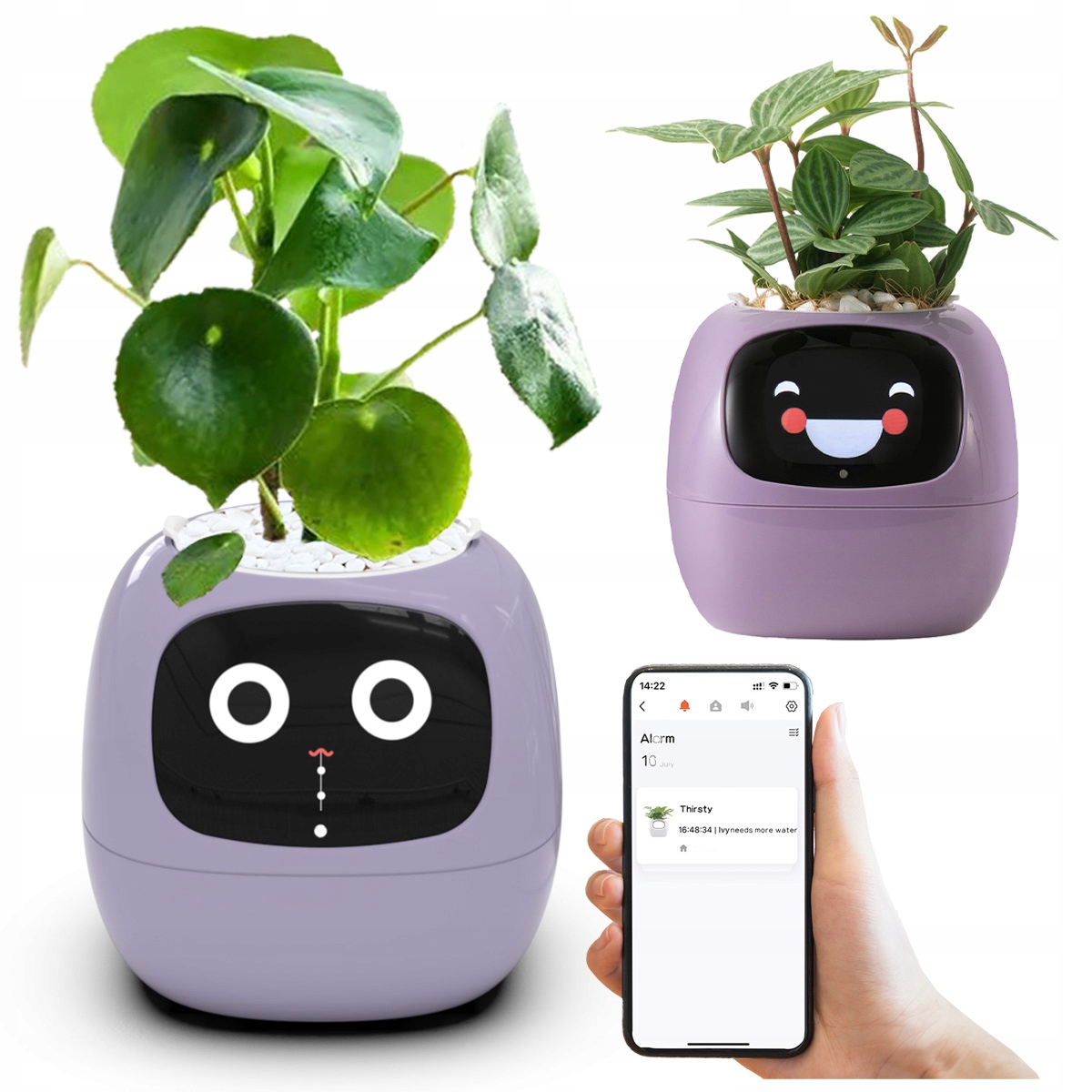 Kvetináč Ivy Planter Inteligentná obal na kvetináč Smart kvetináč poradenstvo pre záhradkárov