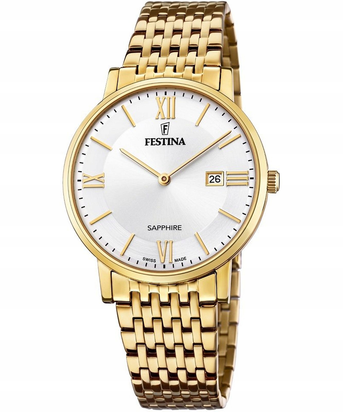Festina pánské hodinky 20020/1
