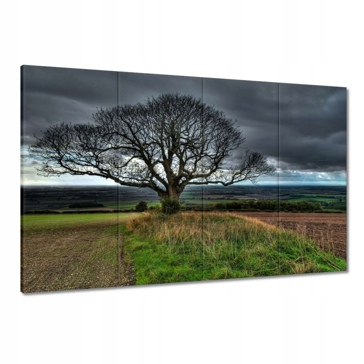 Obrazy 120x80 Strom krajina