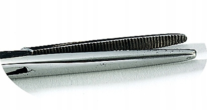 Kleszcze Proste Jaxon 23cm Kod producenta AC-3112