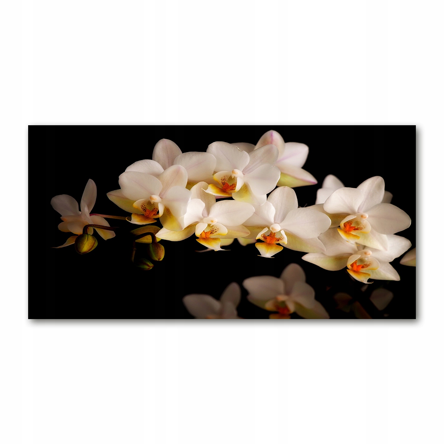 

Foto obraz duży akryl nowoczesny Orchidea 120X60cm