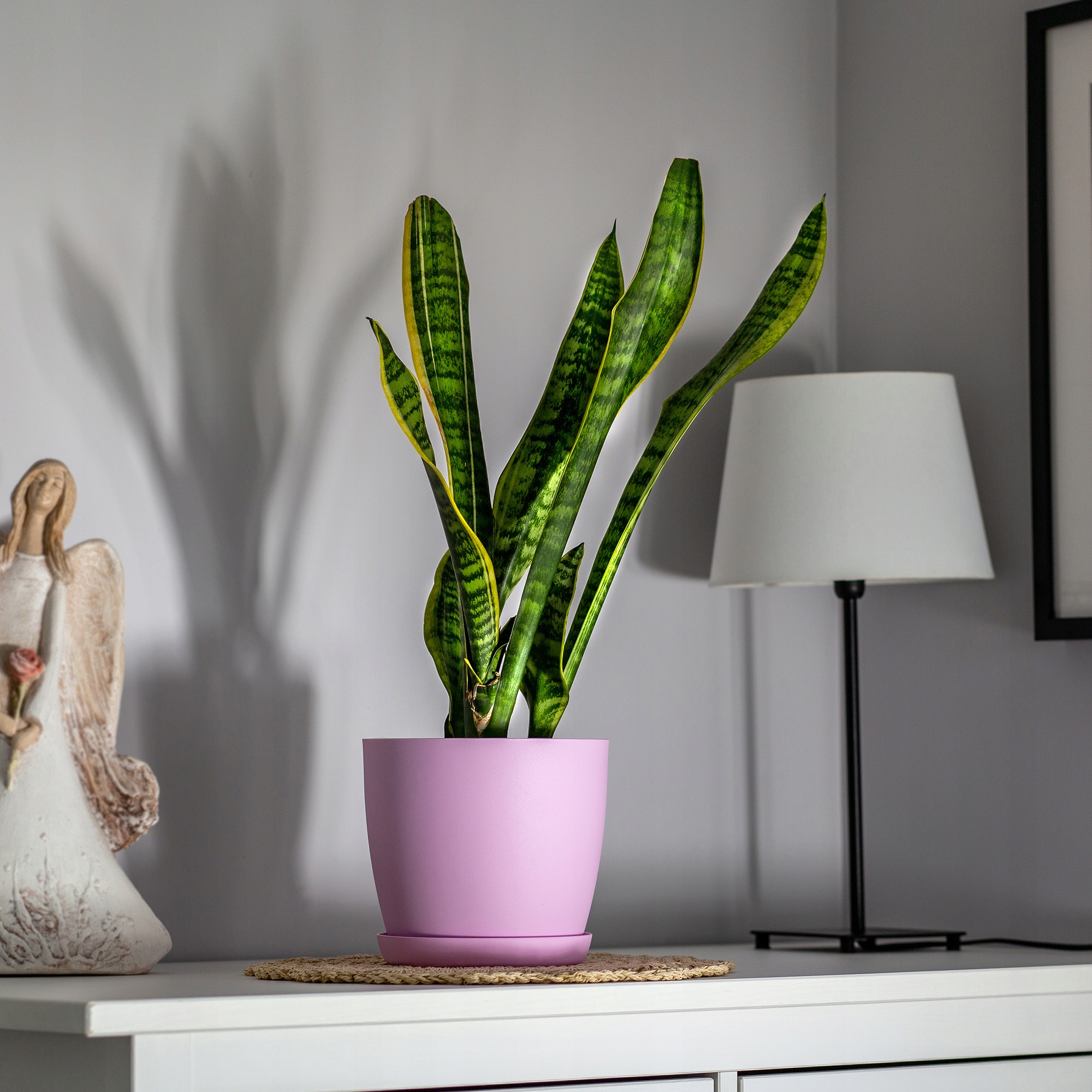 DONICZKA OSŁONKA DONICA 16cm NA KWIATY MATOWA RÓŻOWA PLASTIKOWA PODSTAWKA Marka Kadax