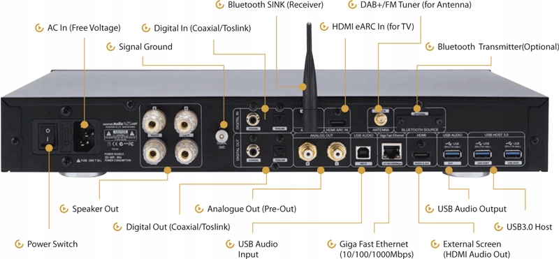 COCKTAIL AUDIO N25 AMP