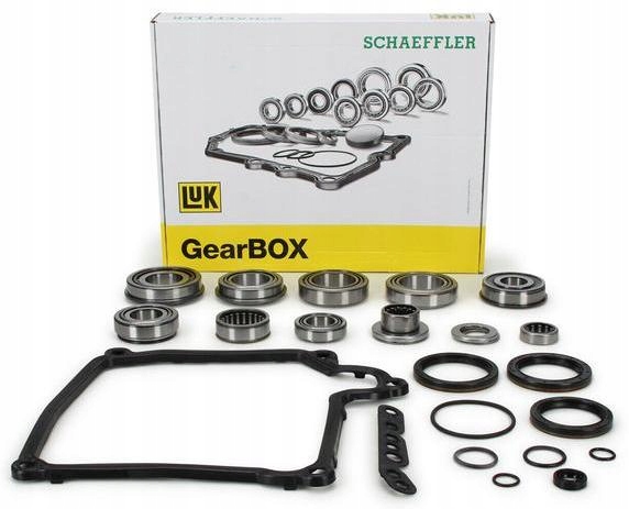 LUK ZESTAW NAPRAWCZY SKRZYNI DSG 462 0146 10