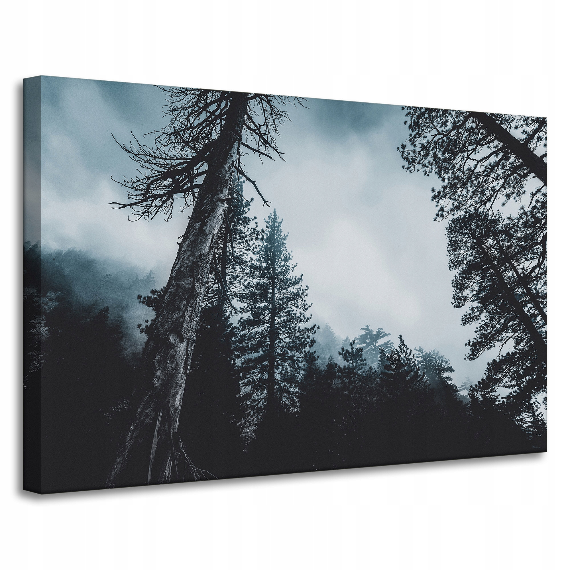 Obraz Canvas Příroda Koruny stromů Mlha 90x60 cm