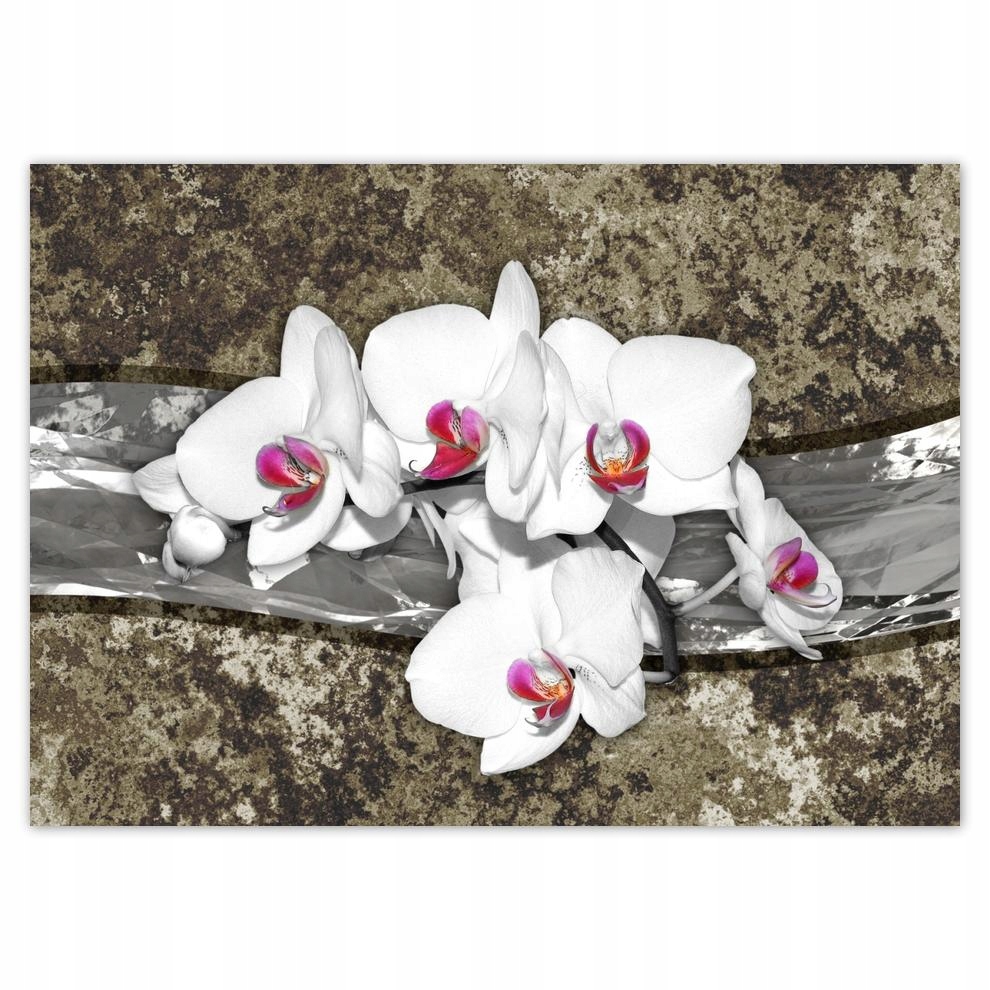 

Naklejki 70x50 Orchidea Marmurkowe tło